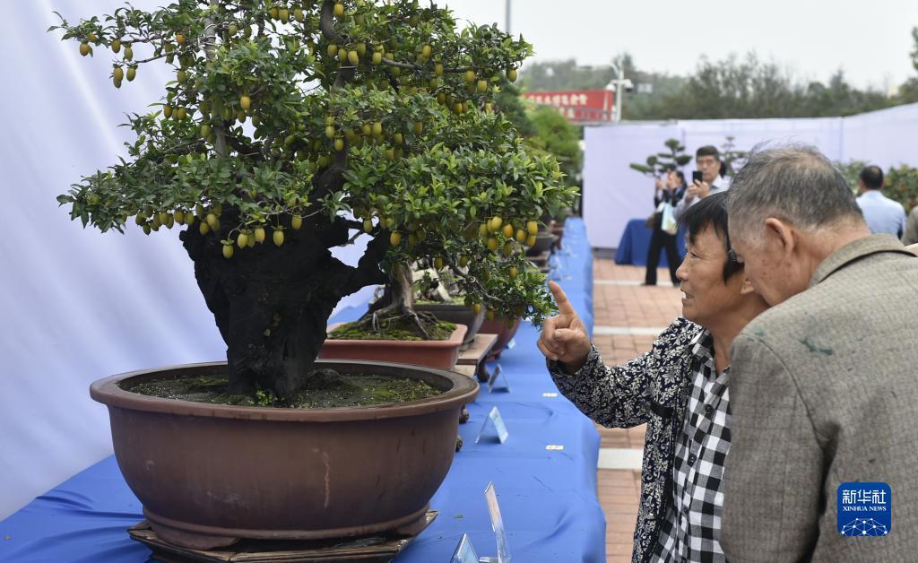 澳门威尼娱乐app是骗人的吗